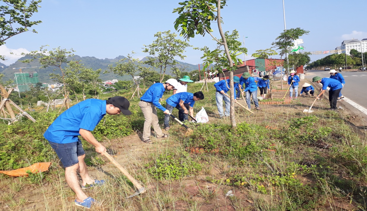 Đoàn viên Sở KH&ĐT không quản ngại vất vả, lao động dưới cái nắng oi bức của mùa hè