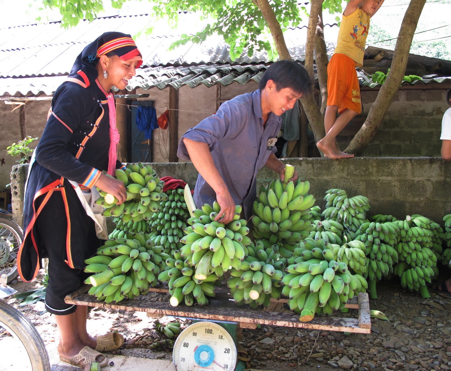 Hội viên phụ nữ huyện Phong Thổ tham gia phát triển kinh tế gia đìinh