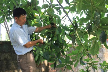 Hướng phát triển kinh tế mới