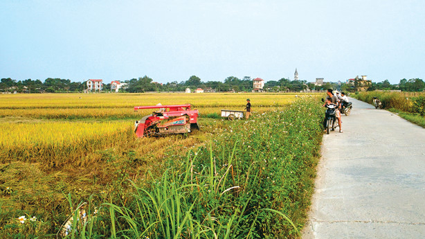 Do nguồn lực còn hạn chế nên chưa có nhiều dự án đầu tư vào nông nghiệp, nông thôn được hỗ trợ. Ảnh: Lê Tiên