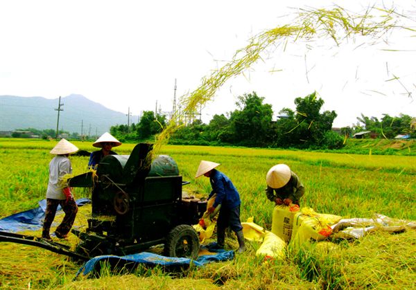 193.000 tỷ đồng vốn ngân sách xây dựng nông thôn mới trong 5 năm tới