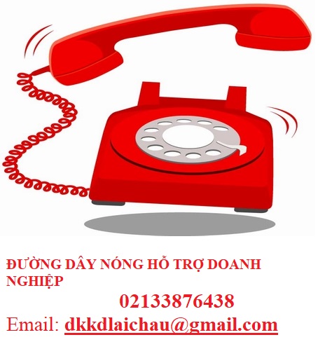 Đường dây nóng hỗ trợ doanh nghiệp.