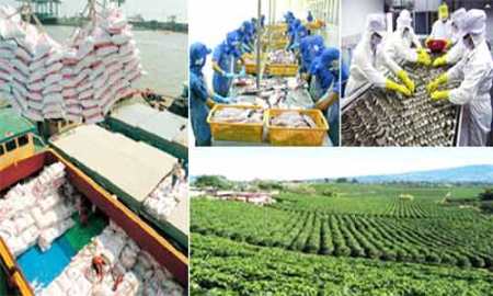 Nhà nước sẽ hỗ trợ tiền mặt cho doanh nghiệp đầu tư vào nông nghiệp (Ảnh minh họa)
