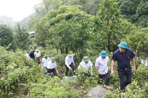 Phó Chủ tịch UBND tỉnh Lê Trọng Quảng cùng đoàn công tác đi thị sát thực tế