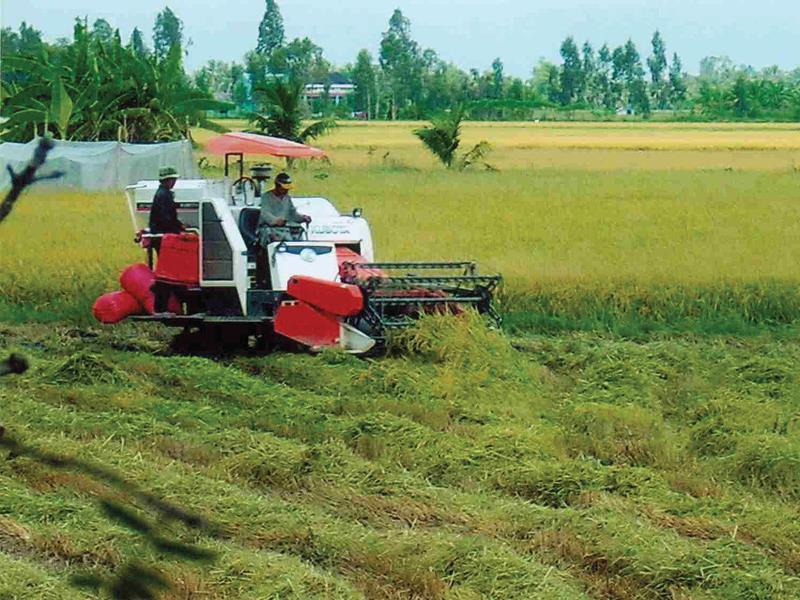 Đầu tư vào nông nghiệp, những doanh nghiệp có hướng đi đúng đã và đang gặt hái được thành công