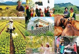Nỗ lực hoàn thành các chương trình mục tiêu quốc gia