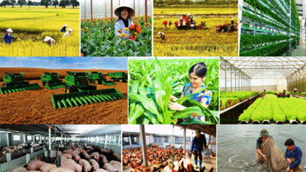 Quy chế hoạt động BCĐ Trung ương tổng kết 20 năm thực hiện Nghị quyết số 13-NQ/TW khóa IX