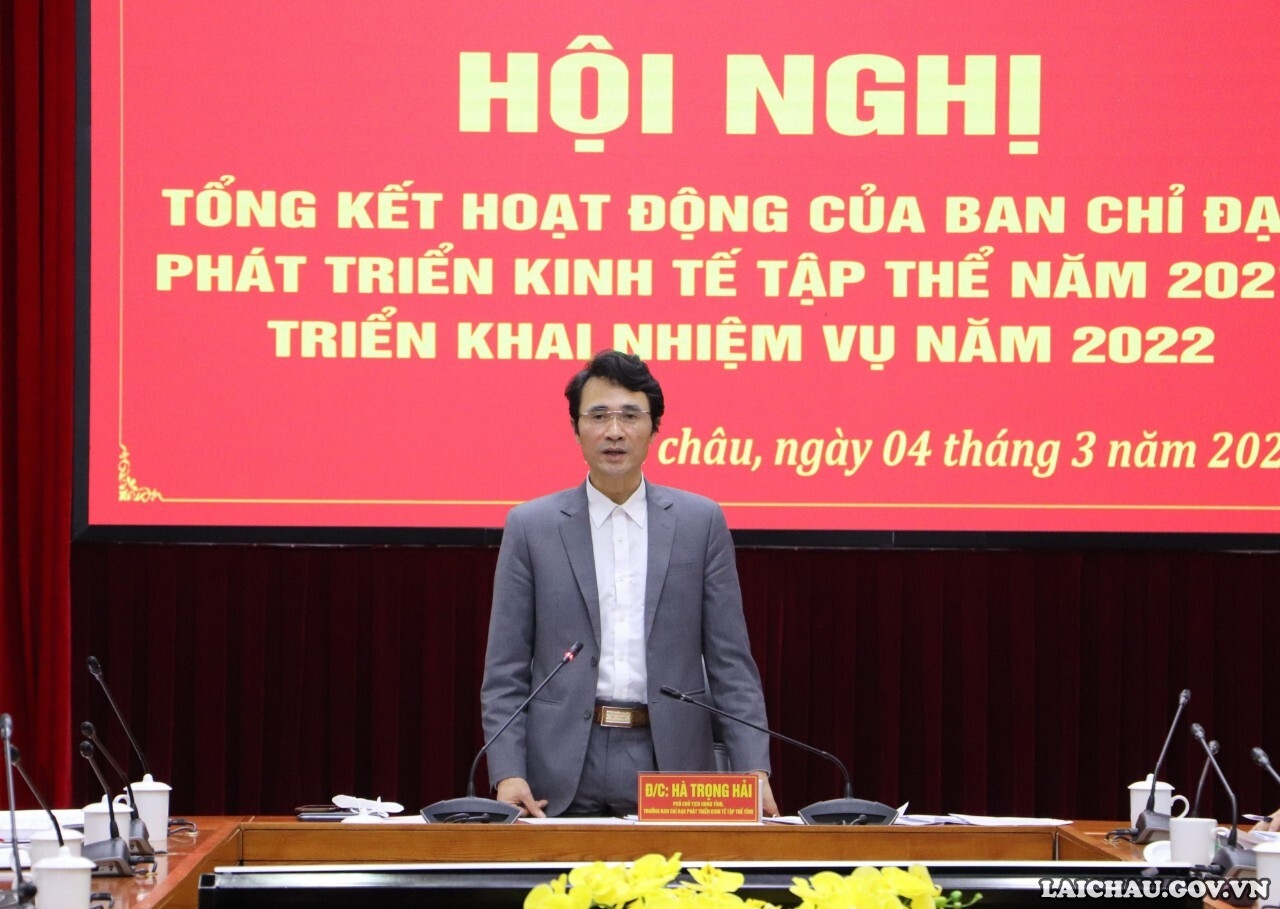 Ban Chỉ đạo phát triển Kinh tế tập thể tỉnh: Tổng kết hoạt động năm 2021, triển khai nhiệm vụ 2022 - Ảnh minh hoạ 2