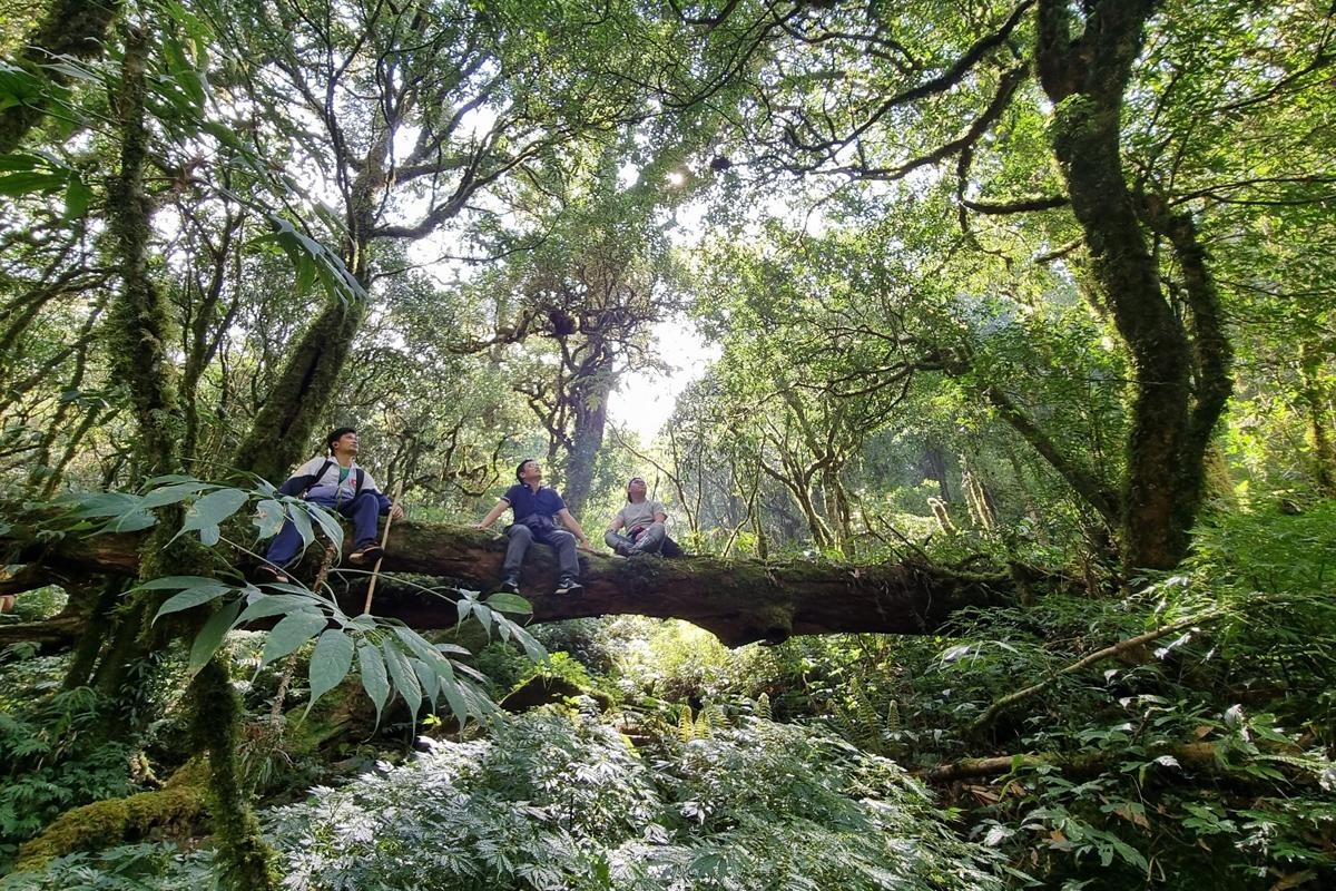 Du lịch trekking mạo hiểm các đỉnh núi cao của Lai Châu đang được du khách quan tâm.