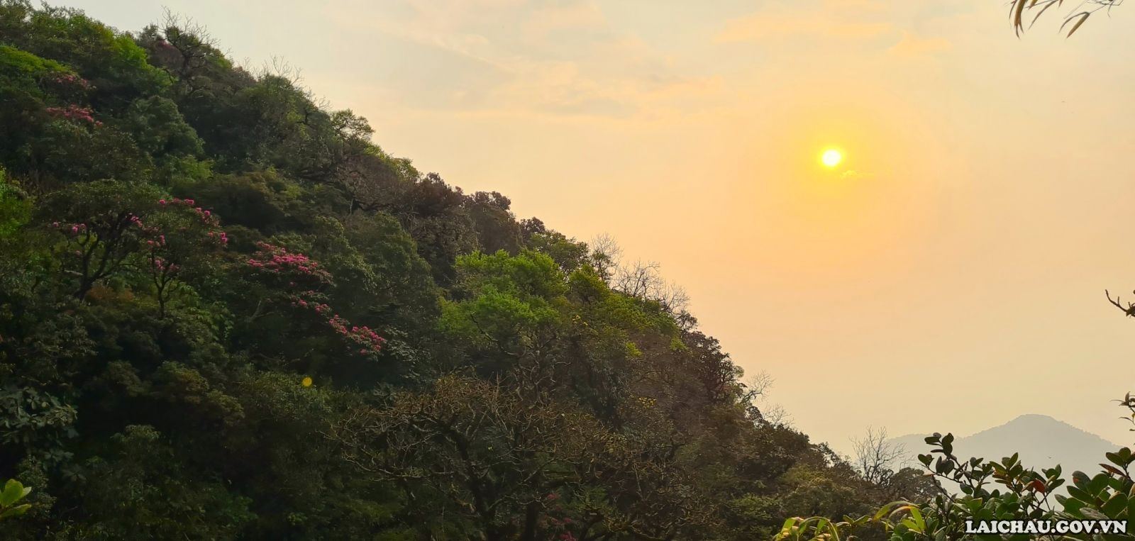 Tả Liên Sơn - Đỉnh núi đẹp nhất định nên khám phá! - Ảnh minh hoạ 6