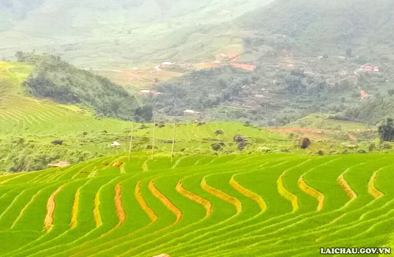 Để Thào A trở thành bản du lịch thu hút du khách - Ảnh minh hoạ 4