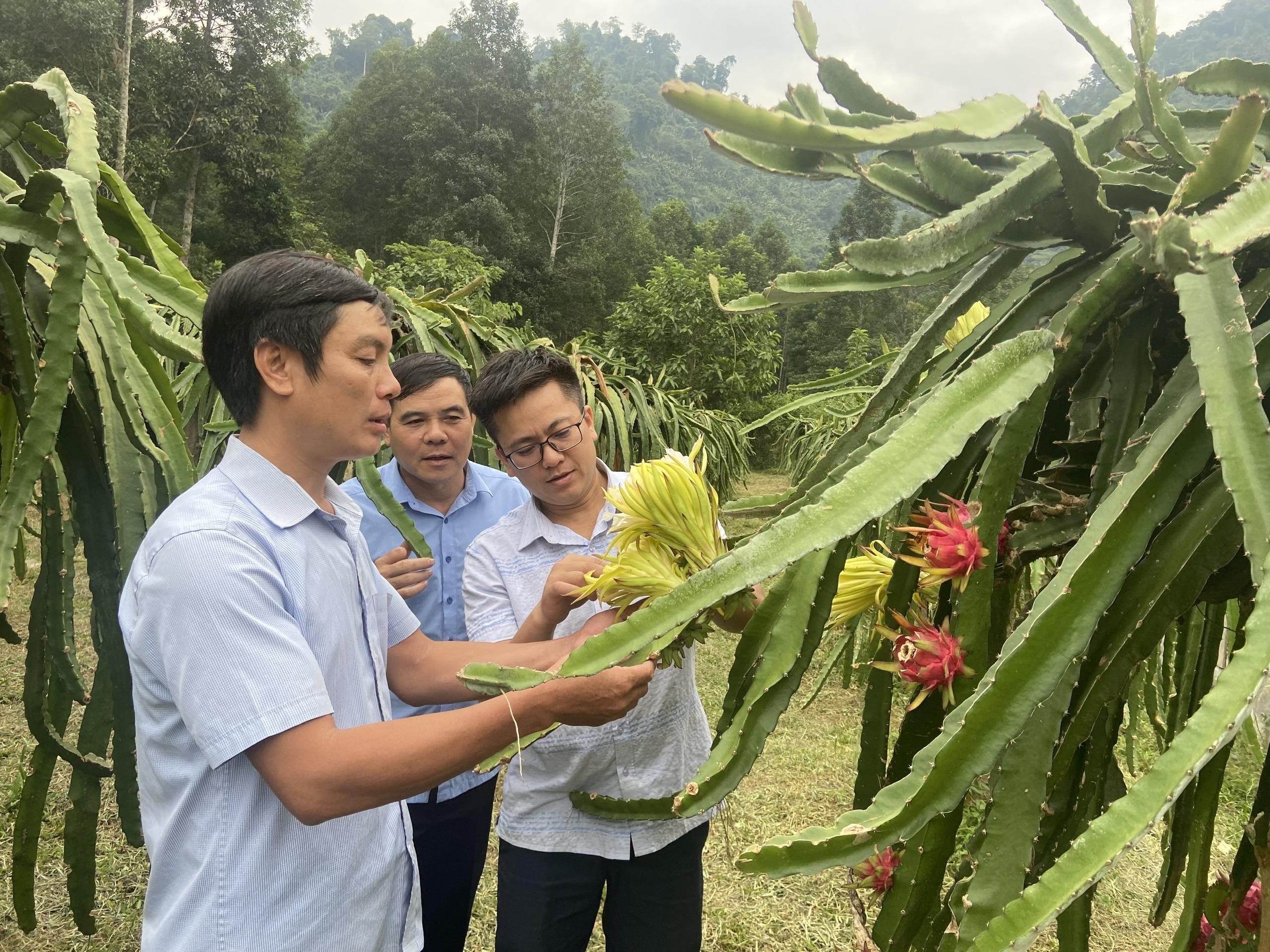 Phong Thổ đẩy mạnh việc học tập và làm theo Bác