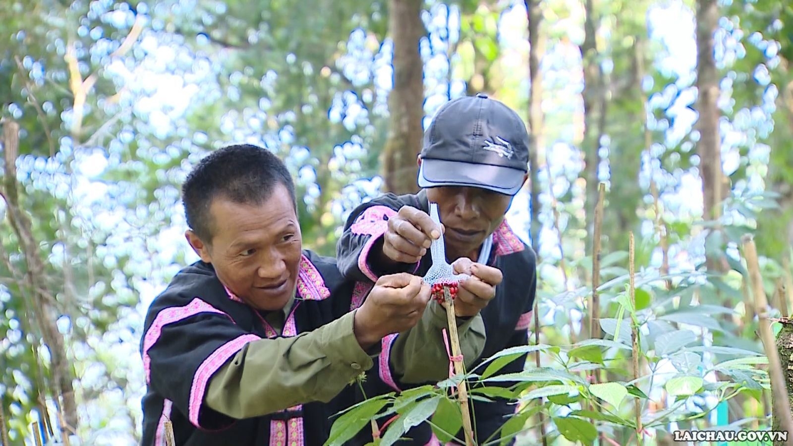 Những chính sách hợp với lòng dân