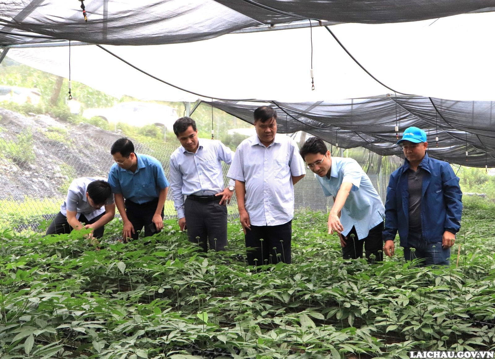 Tổ công tác số 3 UBND tỉnh kiểm tra tình hình thực hiện nhiệm vụ 6 tháng đầu năm tại huyện Sìn Hồ