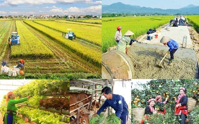 Tháo gỡ khó khăn, thúc đẩy triển khai thực hiện 3 chương trình mục tiêu quốc gia